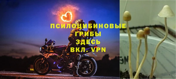 дурь Алексеевка