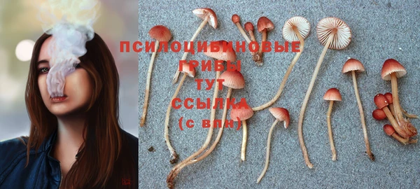 прущая мука Алзамай