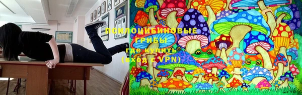 дурь Алексеевка