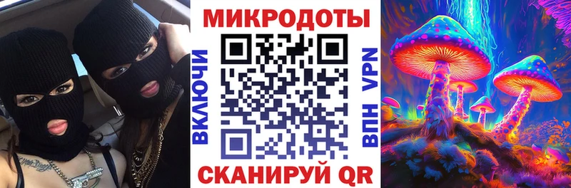 Псилоцибиновые грибы Psilocybine cubensis Шатура