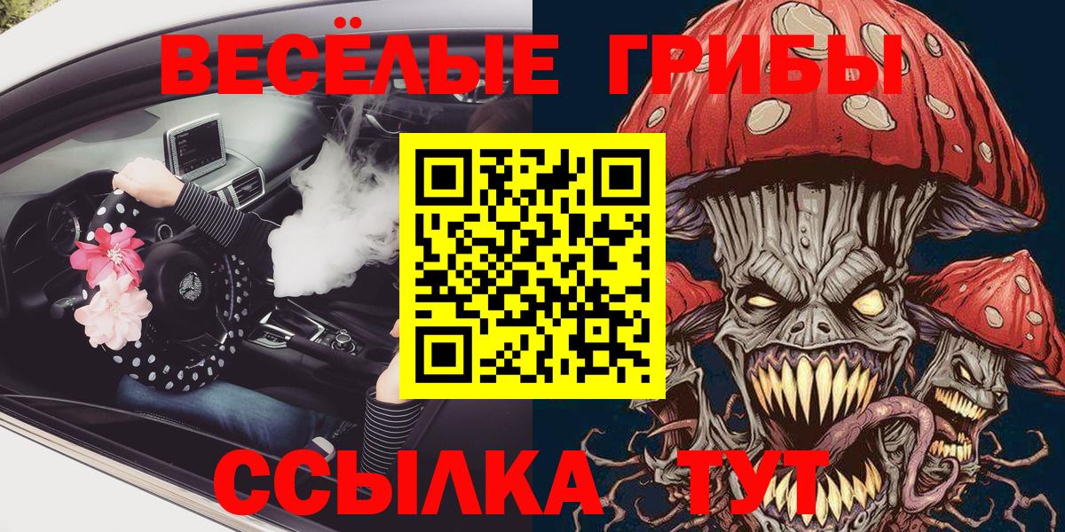 Галлюциногенные грибы Psilocybe  Псилоцибиновые грибы GOLDEN TEACHER  Вход с VPN  Шатура 